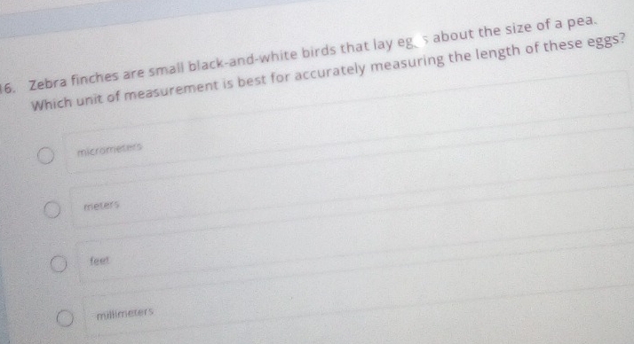 Zebra finches are small black-and-white birds that lay egs about the size of a pea.
Which unit of measurement is best for accurately measuring the length of these eggs?
micrometers
meters
feet
millimeters