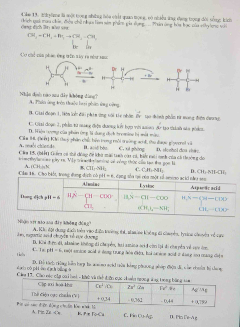 Ethylene là một trong những hóa chất quan trọng, có nhiều ứng dụng trọng đời sống: kích
thích quả mau chin, điều chẻ nhựa làm sản phẩm gia dụng... Phân ứng hóa học của ethylene với
dun djchBr như sau:
CH_3=CH_2+Br_2to CH_2-CH_3
Br Hr
Cơ chế của phản ứng trên xáy ra như sau:
Br H
 
H H
H Br
Nhận định nào sau dây không đùng?
A. Phân ứng trên thuộc loại phân ứng cộng.
B. Giai đoạn 1, liên kết đôi phân ứng với tác nhân vector Br tạo thành phần từ mang điện dương.
C. Giai đoạn 2, phần từ mang điện dương kết hợp với anion 8r tạo thành sản phẩm.
D. Hiện tượng của phân ứng là dung địch bromine bị mất màu.
Câu 14. (biết) Khi thuỷ phân chất bên trong môi trường acid, thu được glyverol và
A. muỗi chloride. B. acid beo C. xá phòng D. alcohol đơn chức.
Cầu 15, (biểt) Giám có thể dùng đề khù mùi tanh của cá, biết mùi tanh của cá thường do
trimethylamine gây ra. Vậy trimethylamine có công thức cầu tạo thu gọn là
A. (CH_3)_2N B. CH_2· NH_2 C. C_2H_3· NH_2 D. CH_3· NH· CH_3
Cầu 16. Cho biết, trong đung dịch có 
Nhận xét nào sau đây không đùng?
A. Khi đặt dung dịch trên vào điện trường thi, alanine không di chuyễn, lysine chuyển về cực
âm, aspartic acid chuyện về cực dương
B. Khi điện đì, alanine không di chuyển, hai amino aciđ còn lại di chuyển về cực âm.
C. Tại p1 4=6
tich 3, một amino acid ở dang trung hòa điện, hai amino acid ở dang ioa mang điện
D. Để tách riệng hỗn hợp ba amino acid trên bằng phương pháp điện di, cần chuẩn bị dung
dịch có pH ôn định bằng 6
Câu 17. Cho các cặp oxi hoá - khủ và thể điện cự
A. Pin Zn -Cu. B. Pin Fe-Cu C. Pin Cu-Ag. D. Pin Fe-Ag