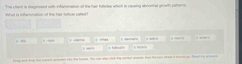 The client is diagnosed with inflammation of the hair follicles which is causing abnormal growth patterns.
What is inflammation of the hair follicle called?
≡ -itis ≡ -osis ≡ -derma ≡ -rrhea ≡ dermat/o ≡ seb/o ≡ necr/o = scler/o
≡ xer/o ≡ follicul/o trich/o
Drag and drop the correct answers into the boxes. You can also click the correct answer, then the box where it should go. Reset my answers.