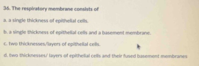 The respiratory membrane consists of
a. a single thickness of epithelial cells.
b. a single thickness of epithelial cells and a basement membrane.
c. two thicknesses/layers of epithelial cells.
d. two thicknesses/ layers of epithelial cells and their fused basement membranes