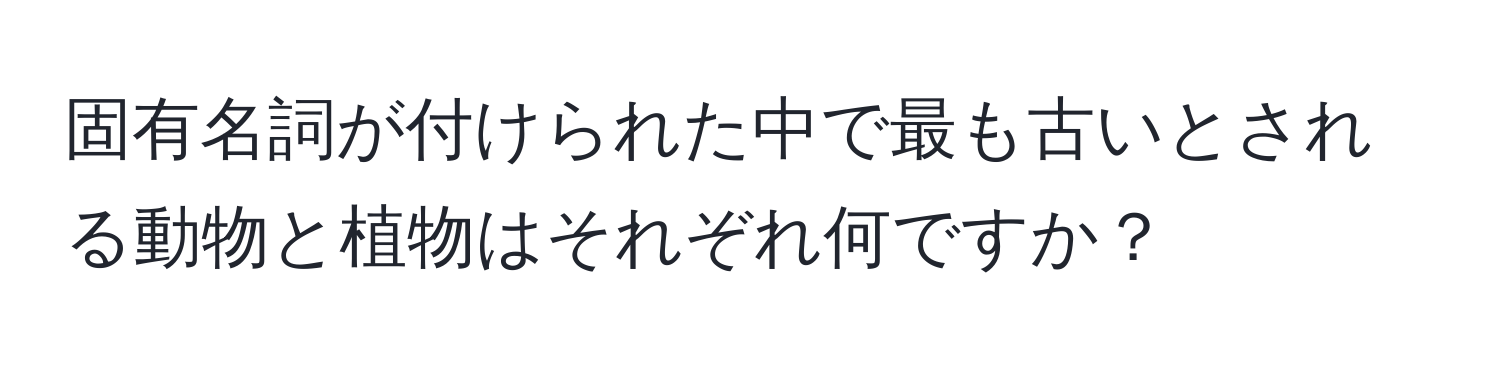 固有名詞が付けられた中で最も古いとされる動物と植物はそれぞれ何ですか？