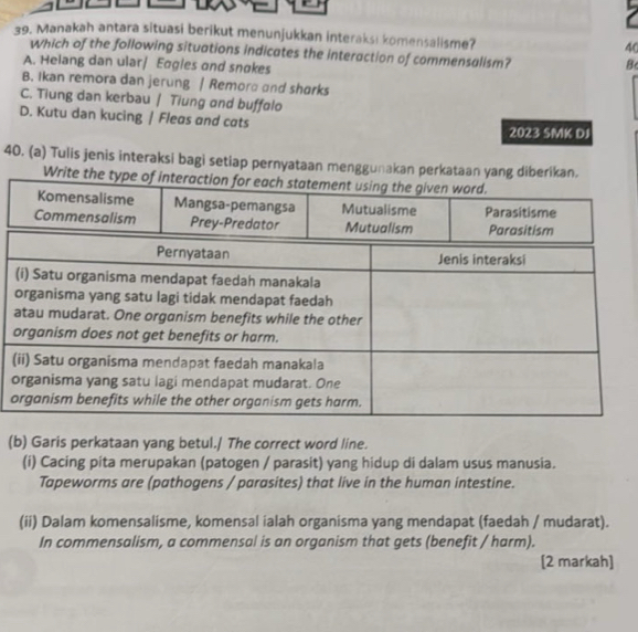 Manakah antara situasi berikut menunjukkan interaksi komensalisme? 40
Which of the following situations indicates the interaction of commensalism? Bc
A. Helang dan ular/ Eqgles and snakes
B. Ikan remora dan jerung | Remora and shorks
C. Tiung dan kerbau / Tiung and buffølo
D. Kutu dan kucing / Fleas and cats
2023 SMK DJ
40. (a) Tulis jenis interaksi bagi setiap pernyataan menggunakan perkataan yang diberikan.
Write the type of interaction for each statement using the given word.
Komensalisme Mangsa-pemangsa
(b) Garis perkataan yang betul./ The correct word line.
(i) Cacing pita merupakan (patogen / parasit) yang hidup di dalam usus manusia.
Tapeworms are (pathogens / parasites) that live in the human intestine.
(ii) Dalam komensalisme, komensal ialah organisma yang mendapat (faedah / mudarat).
In commensalism, a commensal is an organism that gets (benefit / harm).
[2 markah]