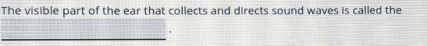 The visible part of the ear that collects and directs sound waves is called the 
_