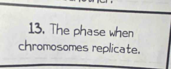 The phase when 
chromosomes replicate.