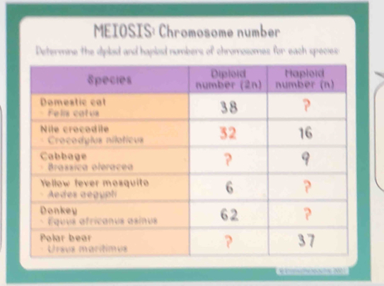 MEIOSIS: Chromosome number 
Determine the diplod and haplod numbers of chromosomes for each species:
== 200