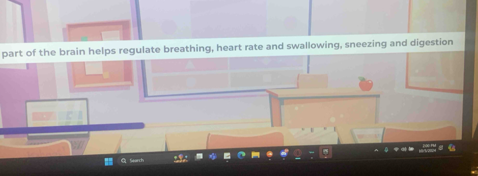 part of the brain helps regulate breathing, heart rate and swallowing, sneezing and digestion 
Search