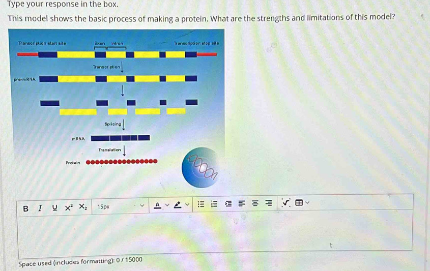 Type your response in the box. 
This model shows the basic process of making a protein. What are the strengths and limitations of this model? 
mRNA 
Translation 
Protein 
B I X^2X_2 15px 
Space used (includes formatting): 0 / 15000