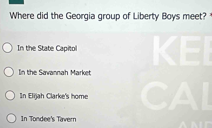 Where did the Georgia group of Liberty Boys meet?
In the State Capitol
In the Savannah Market
In Elijah Clarke's home
In Tondee's Tavern