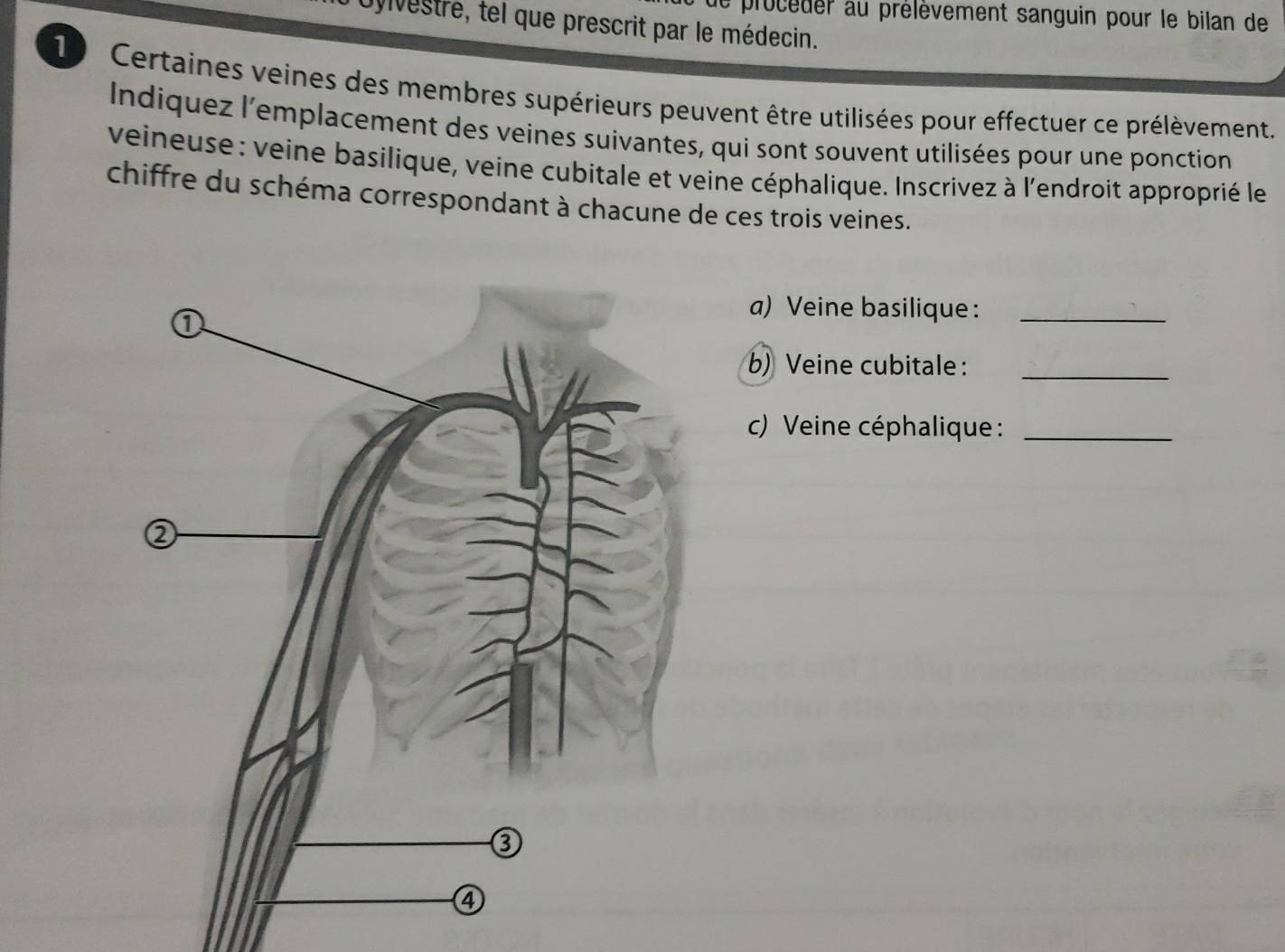 Le procèder au prélèvement sanguin pour le bilan de 
Oyvestre, tel que prescrit par le médecin.
10 Certaines veines des membres supérieurs peuvent être utilisées pour effectuer ce prélèvement. 
Indiquez l'emplacement des veines suivantes, qui sont souvent utilisées pour une ponction 
veineuse : veine basilique, veine cubitale et veine céphalique. Inscrivez à l'endroit approprié le 
chiffre du schéma correspondant à chacune de ces trois veines. 
a) Veine basilique:_ 
b) Veine cubitale:_ 
c) Veine céphalique :_