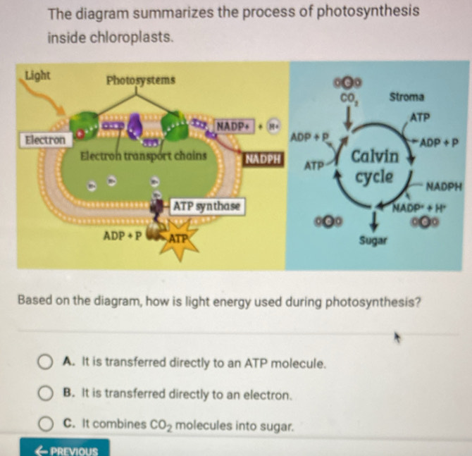 The diagram summarizes the process of photosynthesis
inside chloroplasts.
Light Photosystems
NAI DD H·
Electron 
a
Electron transport chains NADPH
ATP synthase
ADP+P ATP
Based on the diagram, how is light energy used during photosynthesis?
A. It is transferred directly to an ATP molecule.
B. It is transferred directly to an electron.
C. It combines CO_2 molecules into sugar.