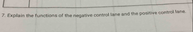 Explain the functions of the negative control lane and the positive control lane.