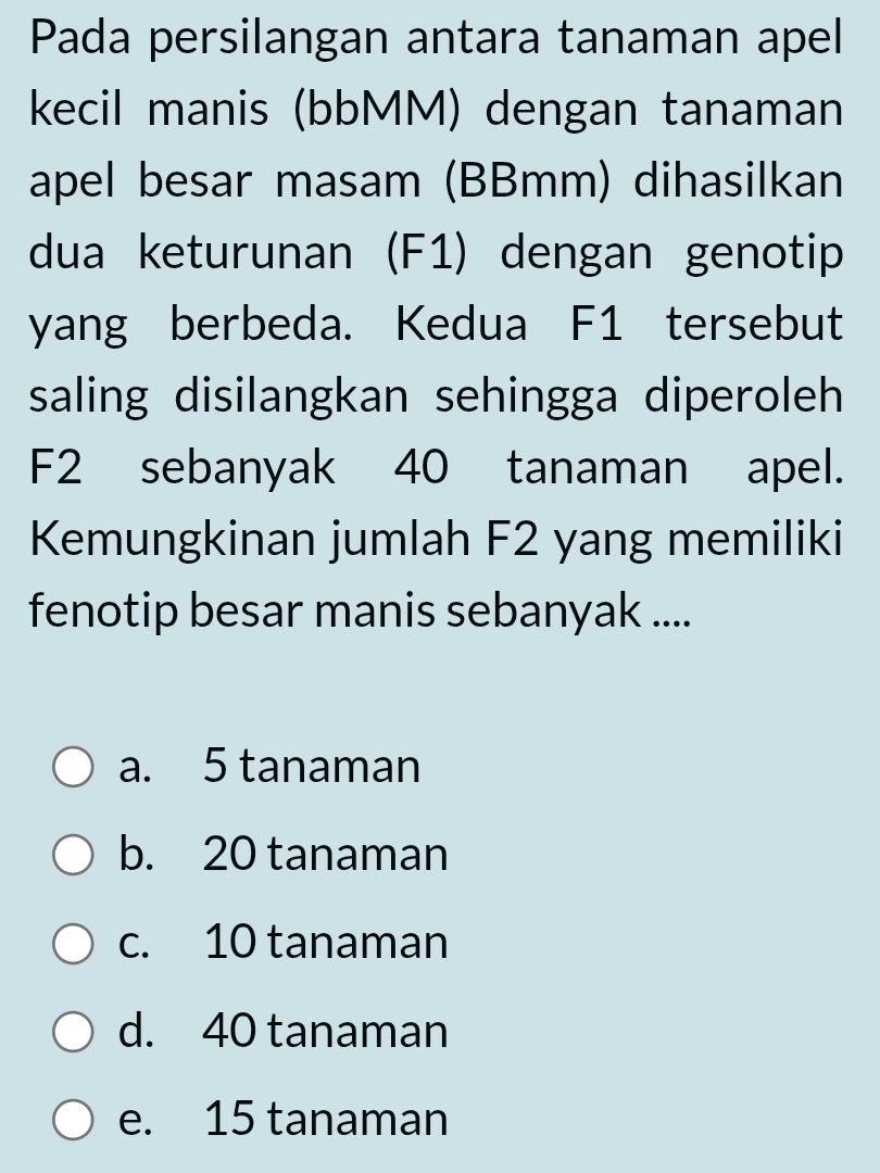 Pada persilangan antara tanaman apel
kecil manis (bbMM) dengan tanaman
apel besar masam (BBmm) dihasilkan
dua keturunan (F1) dengan genotip
yang berbeda. Kedua F1 tersebut
saling disilangkan sehingga diperoleh
F2 sebanyak 40 tanaman apel.
Kemungkinan jumlah F2 yang memiliki
fenotip besar manis sebanyak ....
a. 5 tanaman
b. 20 tanaman
c. 10 tanaman
d. 40 tanaman
e. 15 tanaman