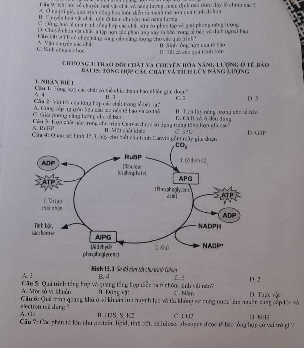 Khi nói về chuyển hoá vật chất và năng lượng, nhận định nào dưới đây là chính xác ?
A. Ở người già, quá trình đồng hoá luôn diễn ra mạnh mẽ hơn quá trình dị hoá
B. Chuyển hoá vật chất luôn đi kèm chuyển hoá năng lượng
C. Đồng hoá là quả trình tổng hợp các chất hữu cơ phức tạp và giải phóng năng lượng
D. Chuyển hoá vật chất là tập hợp các phản ứng xảy ra bên trong tế bảo và dịch ngoại bào
Câu 10: ATP có chức năng cung cấp năng lượng cho các quá trình?
A. Vận chuyển các chất
B. Sinh tổng hợp của tế bào
C. Sinh công cơ học
D. Tất cả các quá trình trên
chương 3: trao đôi chát và chuyện hóa năng lượng ở tế bào
Bài 15: tông hợp các chát và tích lũy năng lượng
1. nhận biệt
Câu 1: Tổng hợp các chất có thể chia thành bao nhiêu giai đoạn?
A. 4 B. 3 C. 2 D. 5
Câu 2: Vai trò của tổng hợp các chất trong tế bào là?
A. Cung cấp nguyên liệu cấu tạo nên tế bào và cơ thể B. Tích lũy năng lượng cho tế bảo
C. Giải phóng năng lượng cho tế bào D. Cả B và A đều đúng
Câu 3: Hợp chất nào trong chu trình Canvin được sử dụng trong tổng hợp glicose?
A. RuBP B. Một chất khác C. 3PG D. G3P
Câu 4: Quan sát hình 15.3, hãy cho biết chu trình Canvin gồm mấy giai đoạn
Hình 15,3. Sơ đồ tóm tất chu trình Calvin
A. 3 B. 4 C. 5 D. 2
Câu 5: Quá trình tổng hợp và quang tổng hợp diễn ra ở nhóm sinh vật nào?
A. Một số vi khuẩn B. Động vật C. Nấm D. Thực vật
* Câu 6: Quá trình quang khử ở vi khuẩn lưu huỳnh lục và tía không sử dụng nước làm nguồn cung cấp H+va
electron mà dung ?
A. O2 B. H2S, S, H2 C. CO2 D. NH2
Câu 7: Các phân tử lớn như protein, lipid, tinh bột, cellulose, glycogen được tế bào tổng hợp có vai trò gì ?