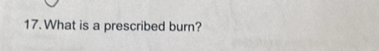 What is a prescribed burn?