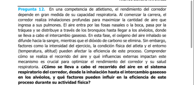 Pregunta 12. En una competencia de atletismo, el rendimiento del corredor 
depende en gran medida de su capacidad respiratoria. Al comenzar la carrera, el 
corredor realiza inhalaciones profundas para maximizar la cantidad de aire que 
ingresa a sus pulmones. El aire entra por las fosas nasales o la boca, pasa por la 
tráquea y se distribuye a través de los bronquios hasta llegar a los alvéolos, donde 
se lleva a cabo el intercambio gaseoso. En esta fase, el oxígeno del aire inhalado se 
difunde hacia la sangre, mientras que el dióxido de carbono se elimina. Sin embargo, 
factores como la intensidad del ejercicio, la condición física del atleta y el entorno 
(temperatura, altitud) pueden afectar la eficiencia de este proceso. Comprender 
cómo se realiza el recorrido del aire y qué influencias externas impactan este 
mecanismo es crucial para optimizar el rendimiento del corredor y su salud 
respiratoria. ¿Cómo se lleva a cabo el recorrido del aire en el sistema 
respiratorio del corredor, desde la inhalación hasta el intercambio gaseoso 
en los alvéolos, y qué factores pueden influir en la eficiencia de este 
proceso durante su actividad física?