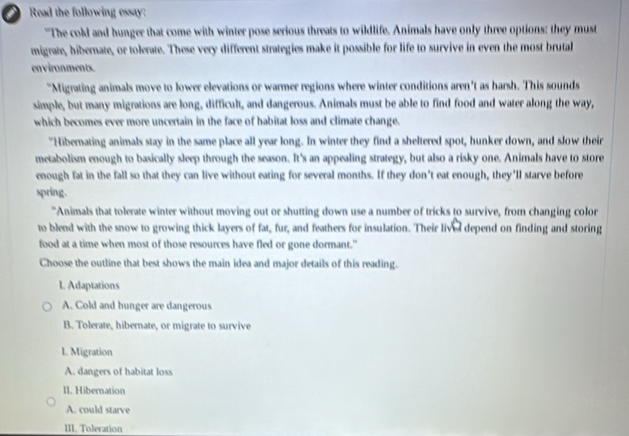 Read the following essay:
"The cold and hunger that come with winter pose serious threats to wildlife. Animals have only three options: they must
migrate, hibernate, or tolerate. These very different strategies make it possible for life to survive in even the most brutal
environments.
“Migrating animals move to lower elevations or warmer regions where winter conditions aren't as harsh. This sounds
simple, but many migrations are long, difficult, and dangerous. Animals must be able to find food and water along the way,
which becomes ever more uncertain in the face of habitat loss and climate change.
“Hibernating animals stay in the same place all year long. In winter they find a sheltered spot, hunker down, and slow their
metabolism enough to basically sleep through the season. It's an appealing strategy, but also a risky one. Animals have to store
enough fat in the fall so that they can live without eating for several months. If they don't eat enough, they'll starve before
spring.
"Animals that tolerate winter without moving out or shutting down use a number of tricks to survive, from changing color
to blend with the snow to growing thick layers of fat, fur, and feathers for insulation. Their lived depend on finding and storing
food at a time when most of those resources have fled or gone dormant."
Choose the outline that best shows the main idea and major details of this reading.
I. Adaptations
A. Cold and hunger are dangerous
B. Tolerate, hibernate, or migrate to survive
I. Migration
A. dangers of habitat loss
II. Hibernation
A. could starve
III. Toleration