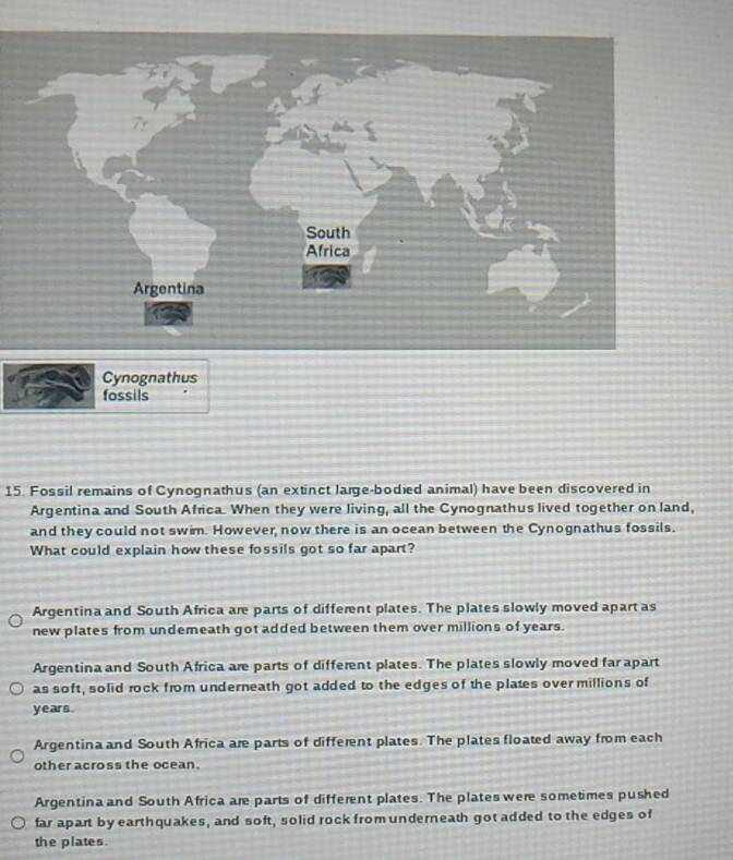 Cynognathus
fossils
15. Fossil remains of Cynognathus (an extinct large-bodied animal) have been discovered in
Argentina and South Africa. When they were living, all the Cynognathus lived together on land,
and they could not swim. However, now there is an ocean between the Cynognathus fossils.
What could explain how these fossils got so far apart?
Argentina and South Africa are parts of different plates. The plates slowly moved apart as
new plates from undemeath got added between them over millions of years.
Argentina and South Africa are parts of different plates. The plates slowly moved far apart
as soft, solid rock from underneath got added to the edges of the plates over millions of
years
Argentina and South Africa are parts of different plates. The plates floated away from each
other across the ocean.
Argentina and South Africa are parts of different plates. The plates were sometimes pushed
far apart by earthquakes, and soft, solid rock from underneath got added to the edges of
the plates.