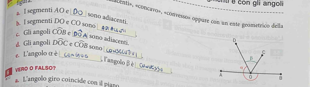 figura. 
cnti é con gli angoli 
a. I segmenti AO e_ 
«acenti», «concavo», «convesso» oppure con un ente geometrico della 
sono adiacenti. 
b. I segmenti DO e CO sono 
c. Gli angoli Cwidehat OB e_ 
_sono adiacenti. 
d. Gli angoli Dwidehat OC e Cwidehat OB sono 
e. L'angolo α è 
_ 
_, l'angolo β è 
VERO O FALSO? _ 
a. L’angolo giro coincide con il piano