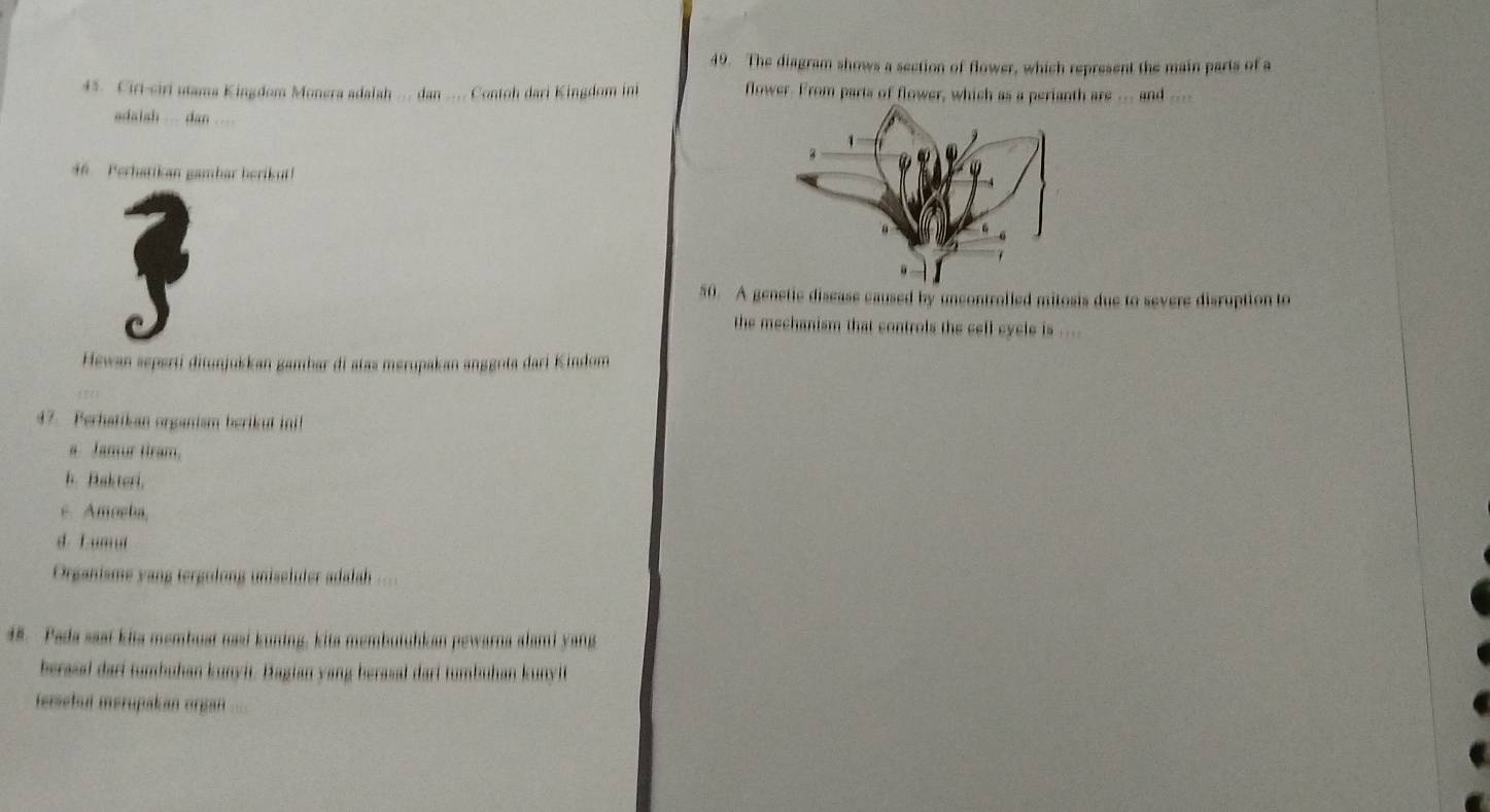Telah dijawab:The diagram shows a section of flower, which represent the  main parts of a 45. Ciri-ciri u