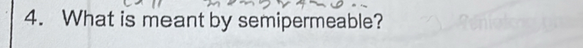 What is meant by semipermeable?