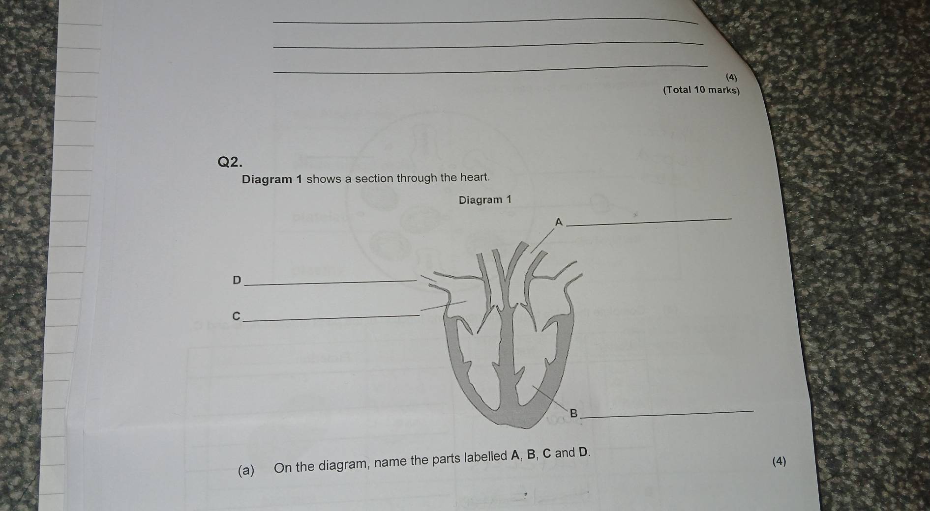 (4) 
(Total 10 marks) 
Q2. 
Diagram 1 shows a section through the heart. 
Diagram 1 
(a) On the diagram, name the parts labelled A, B, C and D. 
(4)