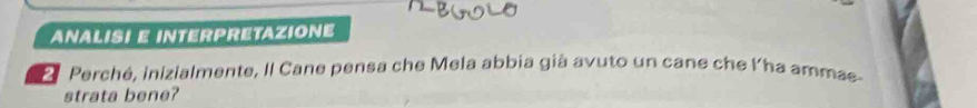 ANALISI E INTERPRETAZIONE 
E Perché, inizialmente, Il Cane pensa che Mela abbia già avuto un cane che lha amma 
strata bene?