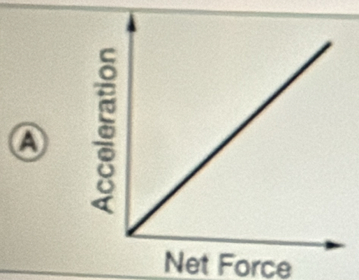 A 
Net Force