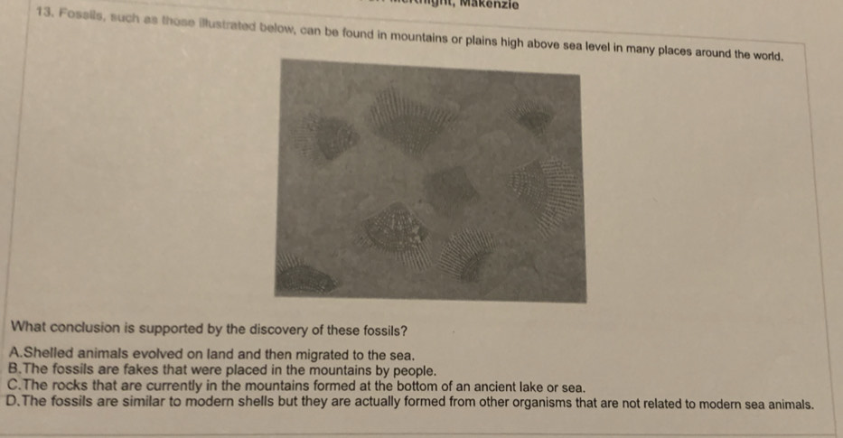 hight, Mäkenzie
13. Fossils, such as those illustrated below, can be found in mountains or plains high above sea level in many places around the world.
What conclusion is supported by the discovery of these fossils?
A.Shelled animals evolved on land and then migrated to the sea.
B.The fossils are fakes that were placed in the mountains by people.
C.The rocks that are currently in the mountains formed at the bottom of an ancient lake or sea.
D.The fossils are similar to modern shells but they are actually formed from other organisms that are not related to modern sea animals.