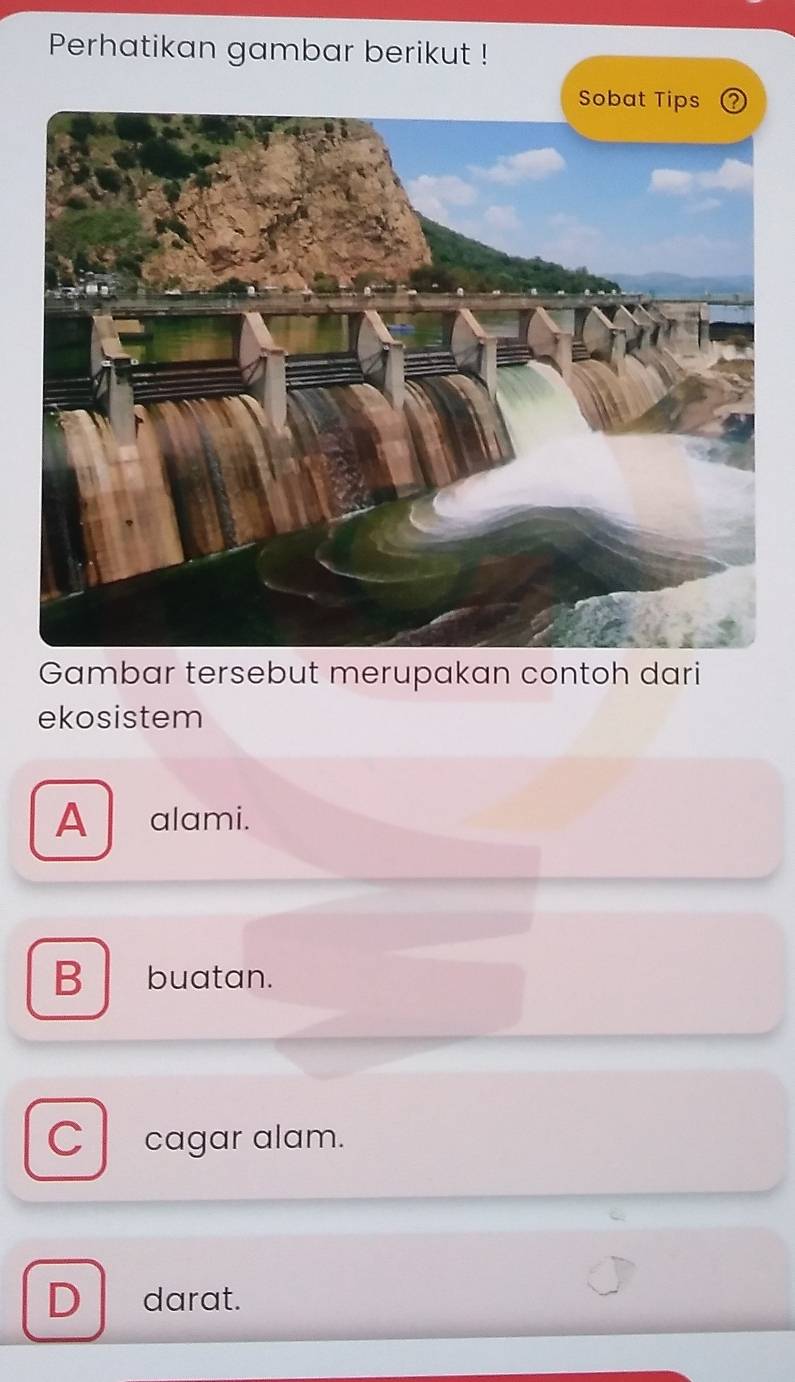 Perhatikan gambar berikut !
Gambar tersebut merupakan contoh dari
ekosistem
A alami.
B buatan.
C cagar alam.
D darat.