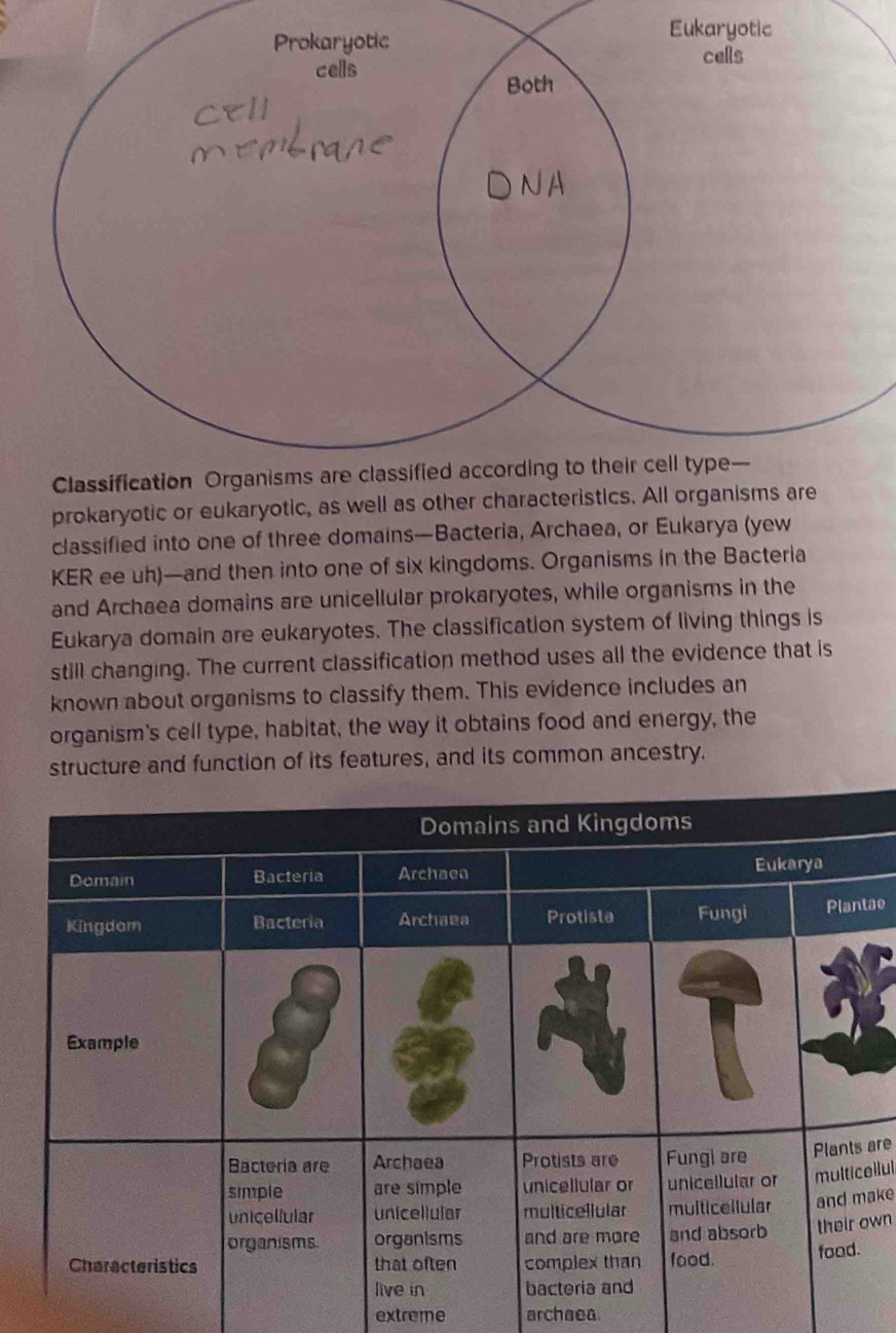 prokaryotic or eukaryotic, as well as other characteristics. All organisms are 
classified into one of three domains—Bacteria, Archaea, or Eukarya (yew 
KER ee uh)—and then into one of six kingdoms. Organisms in the Bacteria 
and Archaea domains are unicellular prokaryotes, while organisms in the 
Eukarya domain are eukaryotes. The classification system of living things is 
still changing. The current classification method uses all the evidence that is 
known about organisms to classify them. This evidence includes an 
organism's cell type, habitat, the way it obtains food and energy, the 
structure and function of its features, and its common ancestry. 
ae 
are 
llul 
ake 
wn 
extreme archaea.