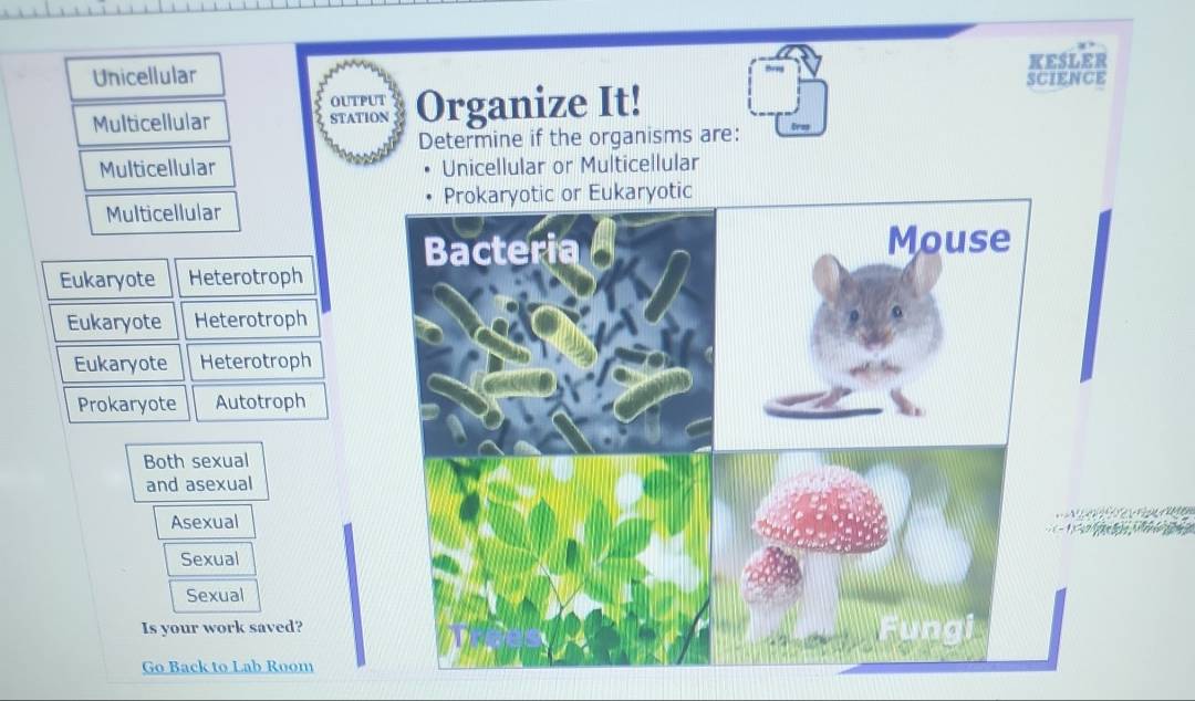 Unicellular 
KESLER 
OUTPUT scieNCE 
Multicellular STATION Organize It! 
Determine if the organisms are: 
Multicellular Unicellular or Multicellular 
Multicellular 
Eukaryote Heterotroph 
Eukaryote Heterotroph 
Eukaryote Heterotroph 
Prokaryote Autotroph 
Both sexual 
and asexual 
Asexual 
Sexual 
Sexual 
Is your work saved? 
Go Back to Lab Room