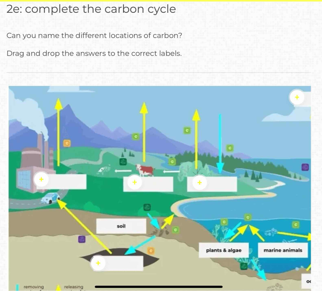 2e: complete the carbon cycle 
Can you name the different locations of carbon? 
Drag and drop the answers to the correct labels. 
removing releasing