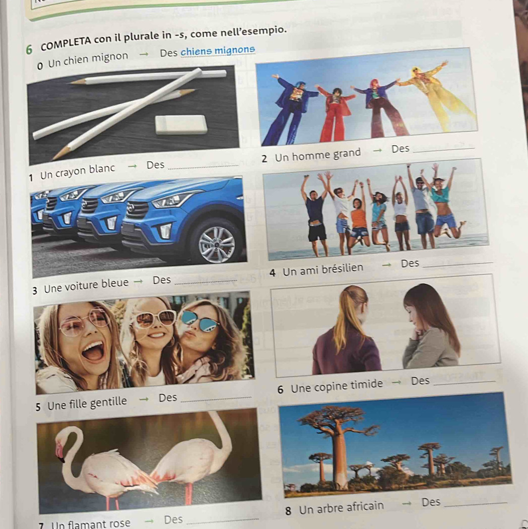 COMPLETA con il plurale in -s, come nell’esempio. 
en mignon → Des chiens migno 
on blanc → D _e grand Des_ 
ne voiture bleue → Des _ ami brésilien De_ 
lle gentille Des _ne copine timide Des_ 
7 n flamant rose Des _8 Un arbre africain Des_