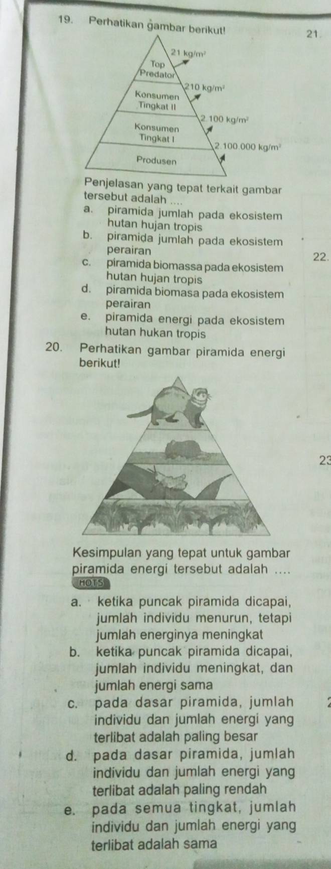 Perhatikan gambar 
21.
elasan yang tepat terkait gambar
tersebut adalah ....
a. piramida jumlah pada ekosistem
hutan hujan tropis
b. piramida jumlah pada ekosistem
perairan
22.
c. piramida biomassa pada ekosistem
hutan hujan tropis
d. piramida biomasa pada ekosistem
perairan
e. piramida energi pada ekosistem
hutan hukan tropis
20. Perhatikan gambar piramida energi
berikut!
23
Kesimpulan yang tepat untuk gambar
piramida energi tersebut adalah ....
HOTS
a.  ketika puncak piramida dicapai,
jumlah individu menurun, tetapi
jumlah energinya meningkat
b. ketika puncak piramida dicapai,
jumlah individu meningkat, dan
jumlah energi sama
c. pada dasar piramida, jumlah
individu dan jumlah energi yang
terlibat adalah paling besar
d. pada dasar piramida, jumlah
individu dan jumlah energi yang
terlibat adalah paling rendah
e. pada semua tingkat, jumlah
individu dan jumlah energi yang
terlibat adalah sama