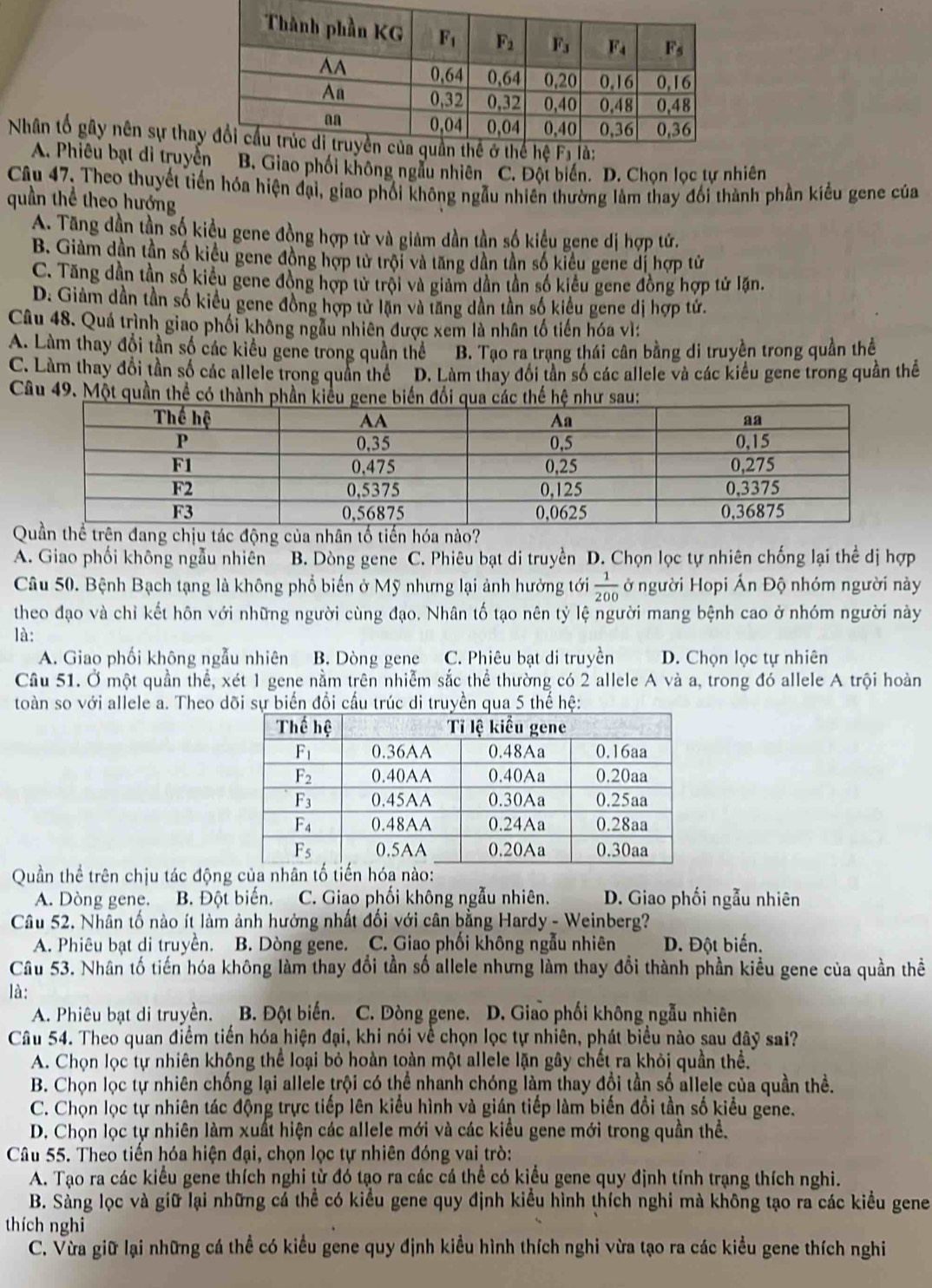 Nhân tố gây nên sự tha
A. Phiêu bạt di truyGiao phối không ngẫu nhiên C. Đột biển. D. Chọn lọc tự nhiên
Câu 47, Theo thuyết tiến hóa hiện đại, giao phối không ngẫu nhiên thường làm thay đối thành phần kiểu gene của
quần thể theo hướng
A. Tăng dần tần số kiều gene đồng hợp từ và giảm dần tần số kiểu gene dị hợp tứ.
B. Giàm dần tần số kiểu gene đồng hợp tử trội và tăng dần tần số kiểu gene dị hợp tử
C. Tăng dần tần số kiều gene đồng hợp tử trội và giảm dần tần số kiểu gene đồng hợp tử lặn.
D. Giảm dần tần số kiểu gene đồng hợp tử lần và tăng dần tần số kiểu gene dị hợp tứ.
Câu 48. Quá trình giao phối không ngẫu nhiên được xem là nhân tố tiến hóa vì:
A. Làm thay đổi tần số các kiều gene trong quần thể B. Tạo ra trạng thái cân bằng di truyền trong quần thể
C. Làm thay đổi tần số các allele trong quân thể ''D. Làm thay đổi tân số các allele và các kiểu gene trong quần thể
Câu 49. Một quần thể có thành ph
Qtrên đang chịu tác động của nhân tố tiến hóa nào?
A. Giao phối không ngẫu nhiên B. Dòng gene C. Phiêu bạt di truyền D. Chọn lọc tự nhiên chống lại thể dị hợp
Câu 50. Bệnh Bạch tạng là không phổ biến ở Mỹ nhưng lại ảnh hưởng tới  1/200  ở người Hopi Án Độ nhóm người này
theo đạo và chỉ kết hôn với những người cùng đạo. Nhân tố tạo nên tỷ lệ người mang bệnh cao ở nhóm người này
là:
A. Giao phối không ngẫu nhiên B. Dòng gene C. Phiêu bạt di truyền D. Chọn lọc tự nhiên
Cầu 51. Ở một quần thể, xét 1 gene nằm trên nhiễm sắc thể thường có 2 allele A và a, trong đó allele A trội hoàn
toàn so với allele a. Theo dự biến đổi cầu trúc di truyền qua
Quần thể trên chịu tác động của n
A. Dòng gene. B. Đột biến. C. Giao phối không ngẫu nhiên. D. Giao phối ngẫu nhiên
Câu 52. Nhân tố nào ít làm ảnh hưởng nhất đối với cân bằng Hardy - Weinberg?
A. Phiêu bạt di truyền. B. Dòng gene. C. Giao phối không ngẫu nhiên D. Đột biến.
Câu 53. Nhân tố tiến hóa không làm thay đổi tần số allele nhưng làm thay đổi thành phần kiều gene của quần thể
là:
A. Phiêu bạt di truyền. B. Đột biến. C. Dòng gene. D. Giao phối không ngẫu nhiên
Câu 54. Theo quan điểm tiến hóa hiện đại, khi nói về chọn lọc tự nhiên, phát biểu nào sau đây sai?
A. Chọn lọc tự nhiên khộng thể loại bỏ hoàn toàn một allele lặn gây chết ra khỏi quần thể.
B. Chọn lọc tự nhiên chống lại allele trội có thể nhanh chóng làm thay đổi tần số allele của quần thể.
C. Chọn lọc tự nhiên tác động trực tiếp lên kiểu hình và gián tiếp làm biến đổi tần số kiểu gene.
D. Chọn lọc tự nhiên làm xuất hiện các allele mới và các kiểu gene mới trong quần thể.
Câu 55. Theo tiến hóa hiện đại, chọn lọc tự nhiên đóng vai trò:
A. Tạo ra các kiểu gene thích nghi từ đó tạo ra các cá thể có kiểu gene quy định tính trạng thích nghi.
B. Sàng lọc và giữ lại những cá thể có kiểu gene quy định kiểu hình thích nghi mà không tạo ra các kiểu gene
thích nghi
C. Vừa giữ lại những cá thể có kiều gene quy định kiều hình thích nghi vừa tạo ra các kiều gene thích nghi