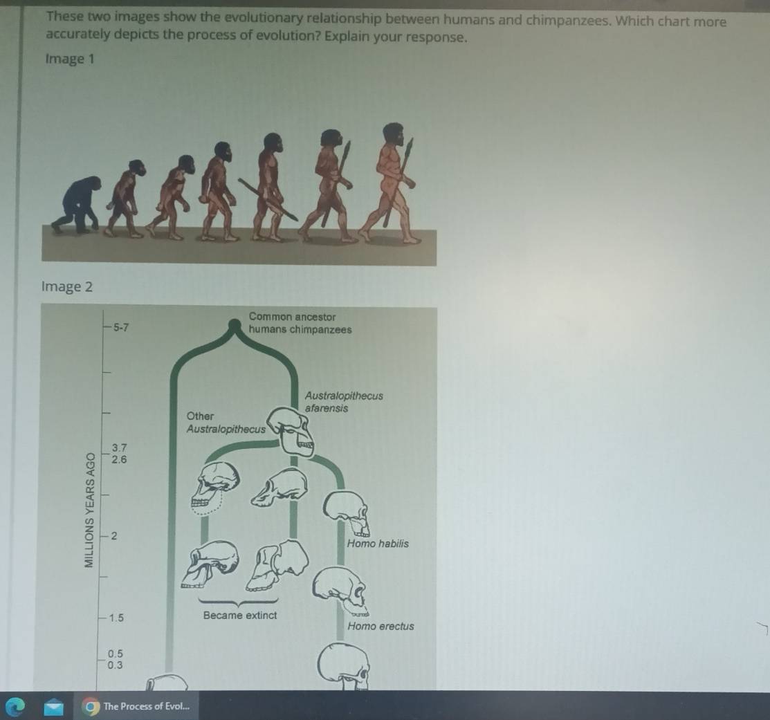 These two images show the evolutionary relationship between humans and chimpanzees. Which chart more 
accurately depicts the process of evolution? Explain your response. 
Image 1 
The Process of Evol...