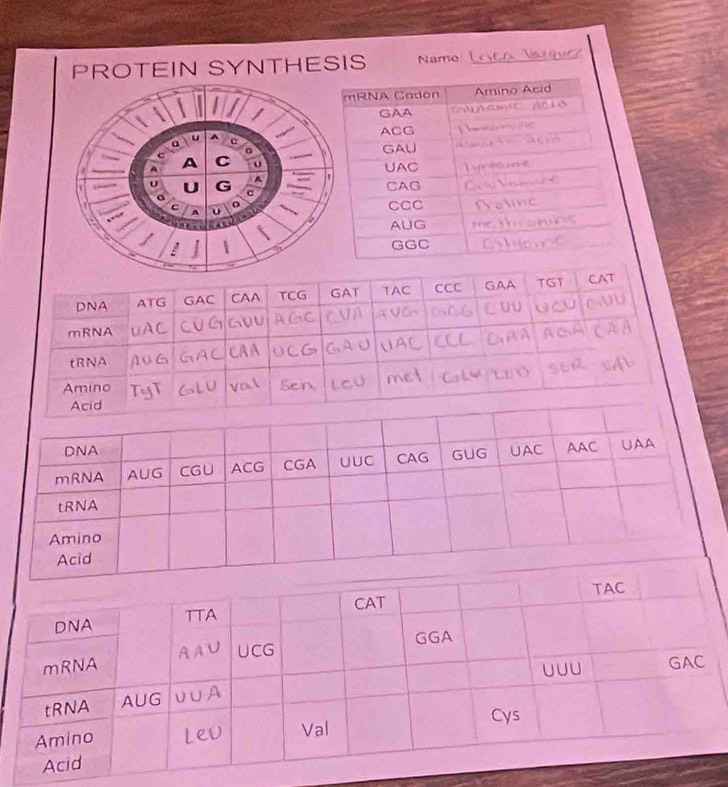 PROTEIN SYNTHESIS Name