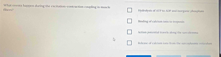 What events happen during the excitation-contraction coupling in muscle
fibers? Hydrolysis of ATP to ADP and inorganic phosphate
Binding of calcium ions to troponin
Action potential travels along the sarcolemma
Release of calcium ions from the sarcoplasmic reticulum