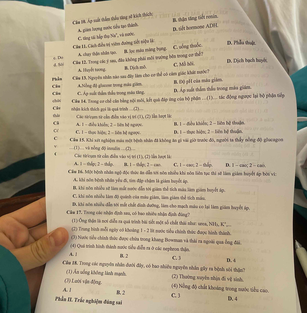 Áp suất thẩm thấu tăng sẽ kích thích:
A. giảm lượng nước tiểu tạo thành. B. thận tăng tiết renin.
C. tăng tái hấp thụ Na*, và nước. D. tiết hormone ADH.
Câu 11. Cách điều trị viêm đường tiết niệu là:
c. Do A. chạy thận nhân tạo. B. lọc máu màng bụng. C. uống thuốc.
D. Phẫu thuật.
d. Sỏi Câu 12. Trong các ý sau, đâu không phải môi trường bên trong cơ thể?
A. Huyết tương. B. Dịch mô. C. Mồ hôi.
D. Dịch bạch huyết.
Phần Câu 13. Nguyên nhân nào sau đây làm cho cơ thể có cảm giác khát nước?
Câu A.Nồng độ glucose trong máu giảm. B. Độ pH của máu giảm.
Câu C. Áp suất thầm thấu trong máu tăng. D. Áp suất thẩm thấu trong máu giảm.
chức Câu 14. Trong cơ chế cân bằng nội môi, kết quả đáp ứng của bộ phận ..(1)... tác động ngược lại bộ phận tiếp
Câu nhận kích thích gọi là quá trình …(2).
thài  Các từ/cụm từ cần điền vào vị trí (1), (2) lần lượt là:
Câ A. 1 - điều khiển; 2 - liên hệ ngược. B. 1 - điều khiển; 2 - liên hệ thuận.
Cć C. 1 - thực hiện; 2 - liên hệ ngược. D. 1 - thực hiện; 2 - liên hệ thuận.
C Câu 15. Khi xét nghiệm máu một bệnh nhân đã không ăn gì vài giờ trước đó, người ta thấy nồng độ glucagon
V …(1)… và nồng độ insulin …(2)…
( Các từ/cụm từ cần điền vào vị trí (1), (2) lần lượt là:
A. 1 - thấp; 2 - thấp. B. 1 - thấp; 2 - cao. C. 1 - cao; 2 - thấp. D. 1 - cao; 2 - cao.
Câu 16. Một bệnh nhân ngộ độc thức ăn dẫn tới nôn nhiều khi nôn liên tục thì sẽ làm giảm huyết áp bởi vì:
A. khi nôn bệnh nhân yếu đi, tim đập chậm là giảm huyết áp.
B. khi nôn nhiều sẽ làm mất nước dẫn tới giảm thể tích máu làm giảm huyết áp.
C. khi nôn nhiều làm độ quánh của máu giảm, làm giảm thể tích máu.
D. khi nôn nhiều dẫn tới mất chất dinh dưỡng, làm cho mạch máu co lại làm giảm huyết áp.
Câu 17. Trong các nhận định sau, có bao nhiêu nhận định đúng?
(1) Ông thận là nơi diễn ra quá trình bài tiết một số chất thải như: urea, NH₃, K*,...
(2) Trung bình mỗi ngày có khoảng 1 - 2 lít nước tiểu chính thức được hình thành.
(3) Nước tiểu chính thức được chứa trong khang Bowman và thải ra ngoài qua ống đái.
(4) Quá trình hình thành nước tiểu diễn ra ở các nephron thận.
A. 1 B. 2 D. 4
C. 3
Câu 18. Trong các nguyên nhân dưới đây, có bao nhiêu nguyên nhân gây ra bệnh sỏi thận?
(1) Ăn uống không lành mạnh. (2) Thường xuyên nhịn đi vệ sinh.
(3) Lười vận động. (4) Nồng độ chất khoáng trong nước tiểu cao.
A. 1 B. 2 C. 3
D. 4
Phần II. Trắc nghiệm đúng sai