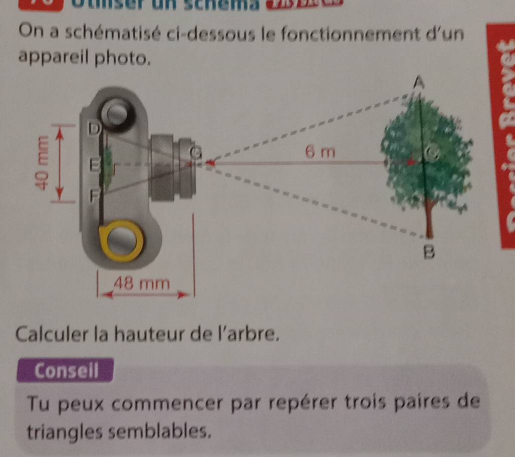 Otser un schema eesc 
On a schématisé ci-dessous le fonctionnement d'un 
appareil photo. 
Calculer la hauteur de l'arbre. 
Conseil 
Tu peux commencer par repérer trois paires de 
triangles semblables.