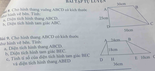 bBài tạp tự luyện 
ài 8. Cho hình thang vuông ABCD có kích thước 
như hình vẽ bên. Tính: 
a, Diện tích hình thang ABCD. 
b, Diện tích hình tam giác ABC. 
Bài 9. Cho hình thang ABCD có kích thước 
như hình vẽ bên. Tính: 
a, Diện tích hình thang ABCD. 
b, Diện tích hình tam giác BEC. 
c, Tính tỉ số của diện tích hình tam giác BEC
và diện tích hình thang ABED