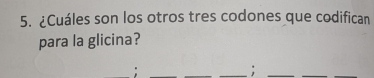 ¿Cuáles son los otros tres codones que codifican 
para la glicina? 
_:_ 
_ 
_:_ 
_ 
_