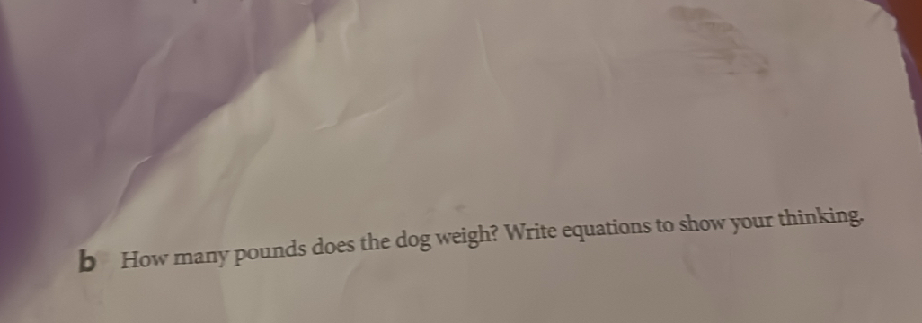 How many pounds does the dog weigh? Write equations to show your thinking.