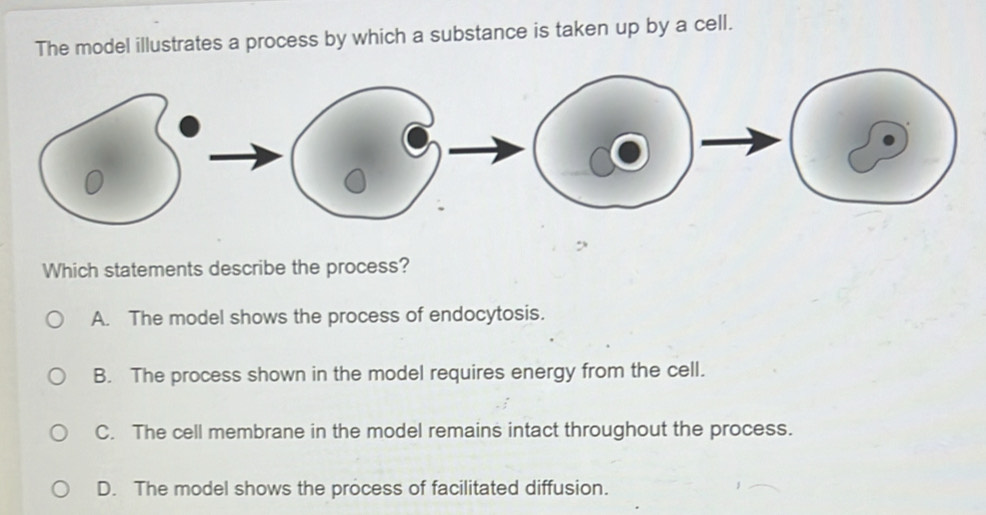 Solved: The model illustrates a process by which a substance is taken ...