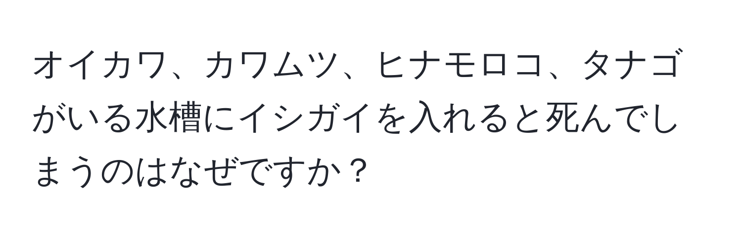 オイカワ、カワムツ、ヒナモロコ、タナゴがいる水槽にイシガイを入れると死んでしまうのはなぜですか？