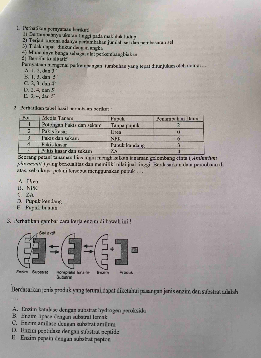 Perhatikan pernyataan berikut!
1) Bertambahnya ukuran tinggi pada makhluk hidup
2) Terjadi karena adanya pertambahan jumlah sel dan pembesaran sel
3) Tidak dapat diukur dengan angka
4) Munculnya bunga sebagai alat perkembangbiakan
5) Bersifat kualitatif
Pernyataan mengenai perkembangan tumbuhan yang tepat ditunjukan oleh nomor…
A. 1, 2, dan 3
B. 1, 3, dan 5 `
C. 2, 3, dan 4^(wedge)
D. 2, 4, dan 5'
E. 3, 4, dan 5
2. Perhatikan tabel hasil percobaan berikut :
ani tanaman hias ingin menghasilkan tanaman gelombang cinta ( Anthurium
plowmanii ) yang berkualitas dan memiliki nilai jual tinggi. Berdasarkan data percobaan di
atas, sebaiknya petani tersebut menggunakan pupuk …
A. Urea
B. NPK
C. ZA
D. Pupuk kendang
E. Pupuk buatan
3. Perhatikan gambar cara kerja enzim di bawah ini !
Berdasarkan jenis produk yang terurai,dapat diketahui pasangan jenis enzim dan substrat adalah
...
A. Enzim katalase dengan substrat hydrogen peroksida
B. Enzim lipase dengan substrat lemak
C. Enzim amilase dengan substrat amilum
D. Enzim peptidase dengan substrat peptide
E. Enzim pepsin dengan substrat pepton