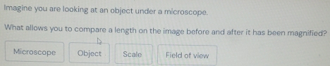 Imagine you are looking at an object under a microscope.
What allows you to compare a length on the image before and after it has been magnified?
Microscope Object Scale Field of view