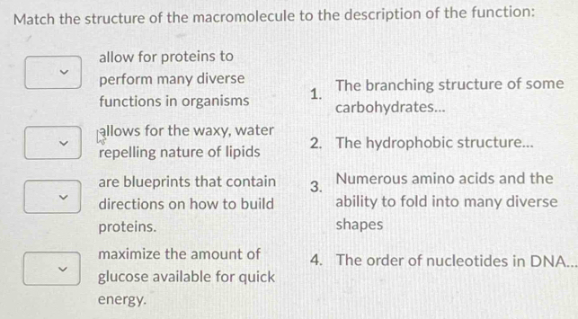 Match the structure of the macromolecule to the description of the function: 
allow for proteins to 
perform many diverse The branching structure of some 
functions in organisms 1. carbohydrates... 
allows for the waxy, water 
v 2. The hydrophobic structure... 
repelling nature of lipids 
are blueprints that contain 3. Numerous amino acids and the 
directions on how to build ability to fold into many diverse 
proteins. shapes 
maximize the amount of 4. The order of nucleotides in DNA... 
glucose available for quick 
energy.