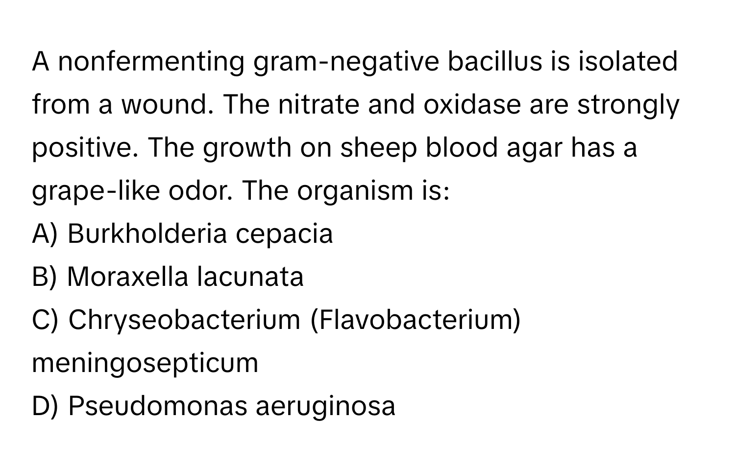 A nonfermenting gram-negative bacillus is isolated from a wound. The nitrate and oxidase are strongly positive. The growth on sheep blood agar has a grape-like odor. The organism is:

A) Burkholderia cepacia
B) Moraxella lacunata
C) Chryseobacterium (Flavobacterium) meningosepticum
D) Pseudomonas aeruginosa