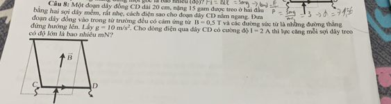 Cầu 8: Một đoạn dây đồng CD dài 20 cm, nặng 15 gam được treo ở hai đầu
bằng hai sợi dây mềm, rất nhẹ, cách điện sao cho đoạn dây CD nằm ngang. Đưa
đoạn dây đồng vào trong từ trường đều có cảm ứng từ B=0.5T
đứng hướng lên. Lầy g=10m/s^2 và các đường sức từ là những đường thắng
có độ lớn là bao nhiều mN? * Cho dòng điện qua dây CD có cường độ I=2A thì lực căng mỗi sợi dây treo